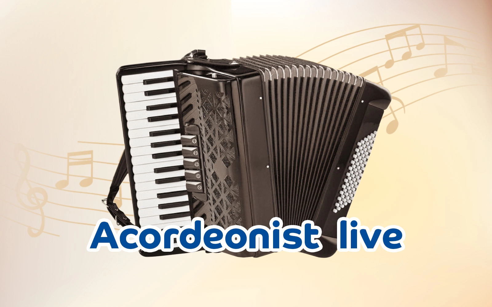 Accordionist live / 30 min