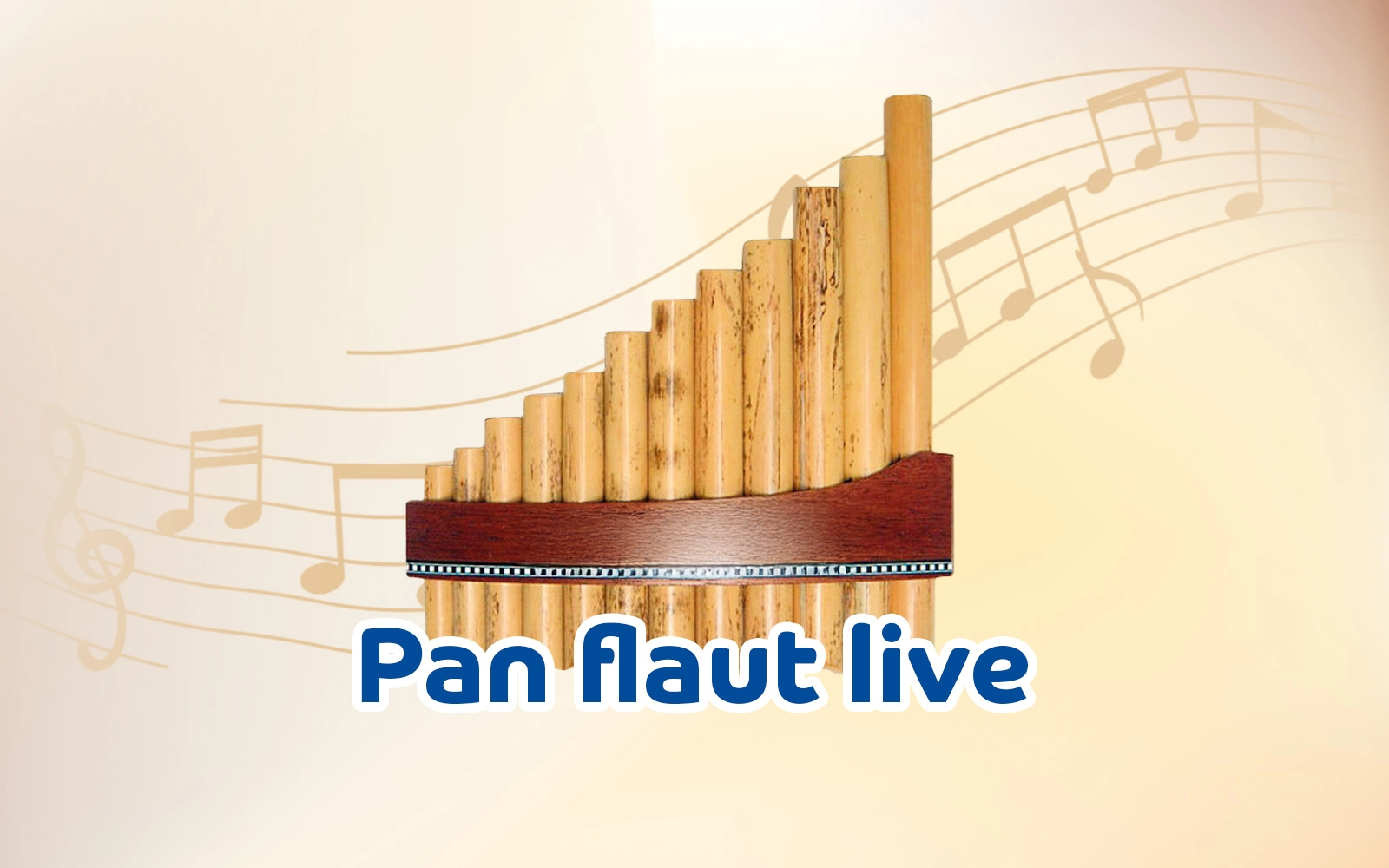 Panflute live / 30 min
